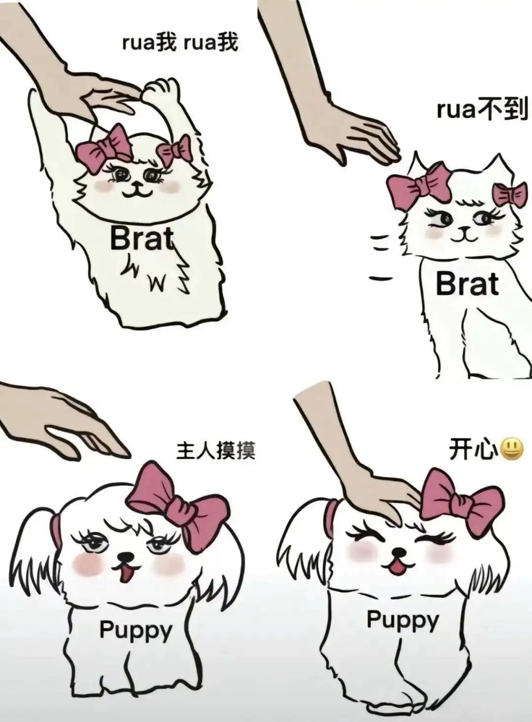 西檬之家m倾向是什么?如何在字母圈中找到属于你的位置? 一