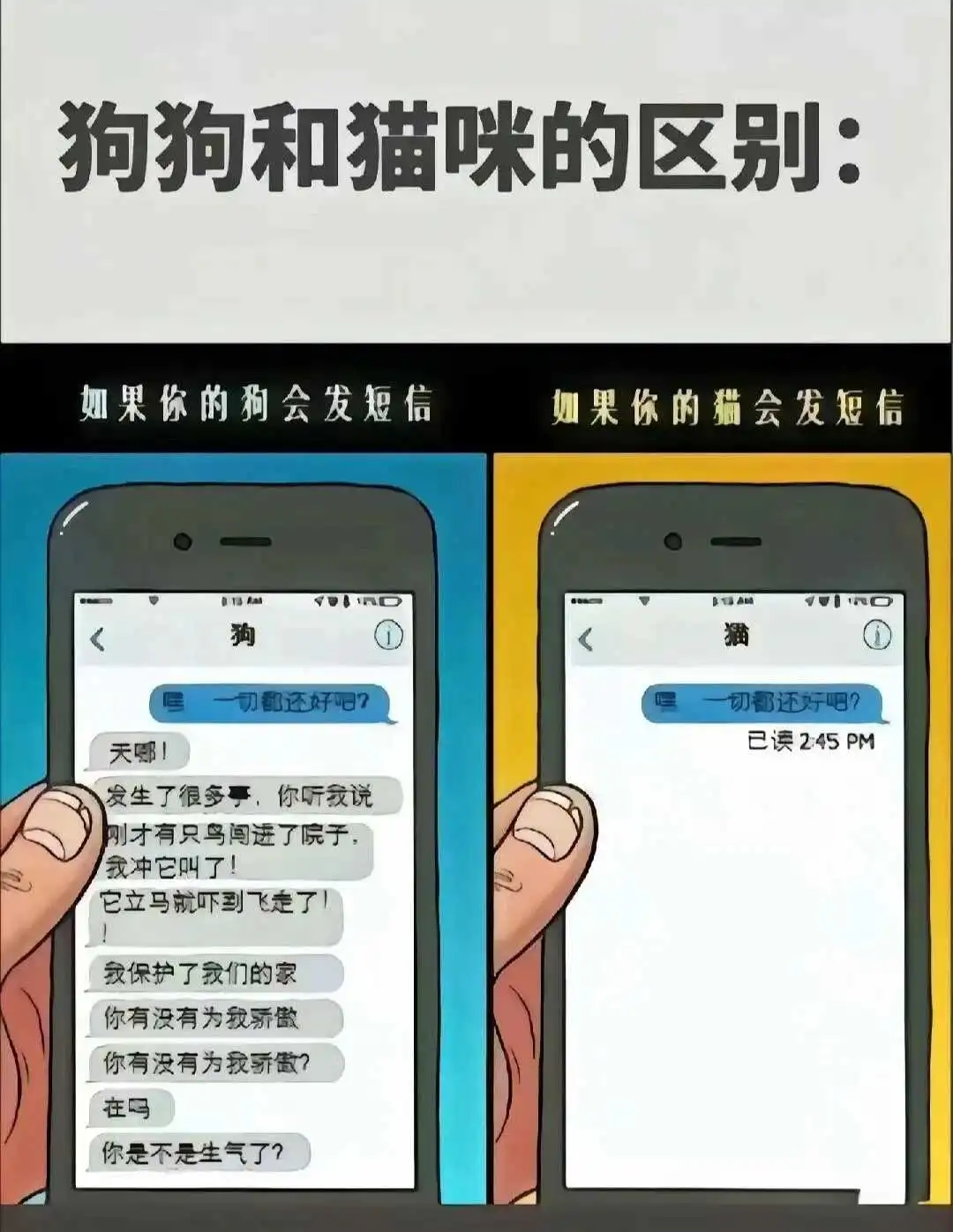 西檬之家2025年字母圈新人该如何安全入圈? 一