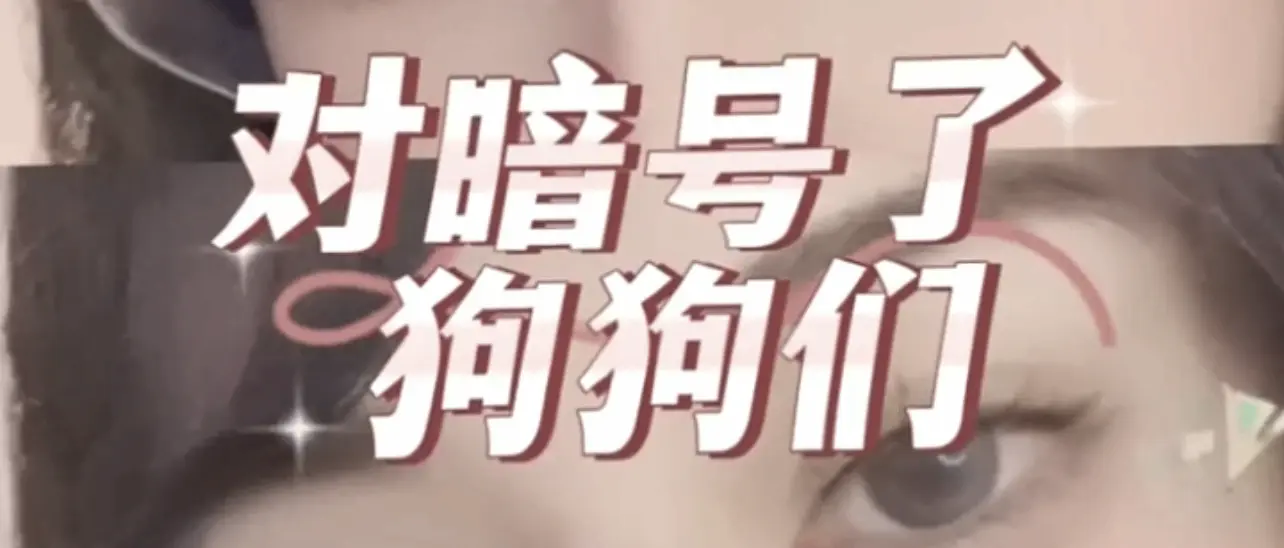 西檬之家k8猫系是什么?探索字母圈中的新型角色与玩法 一