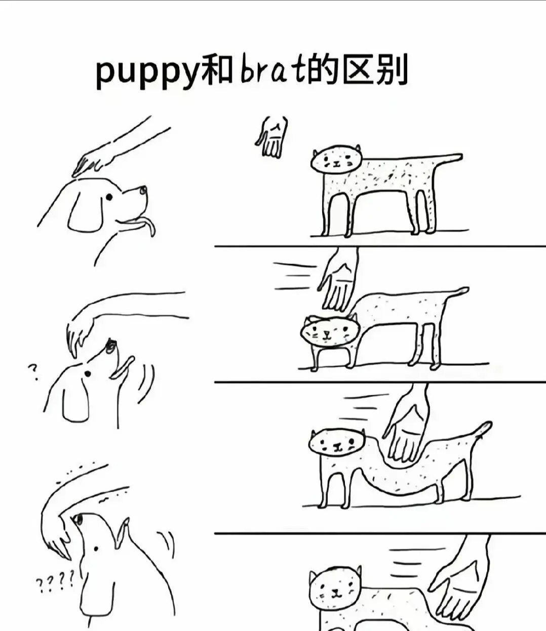 西檬之家tickle究竟是什么?在字母圈中的地位与乐趣是什么? 一