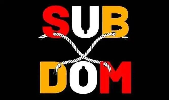 西檬之家字母圈DOM角色解析与实用指南 一