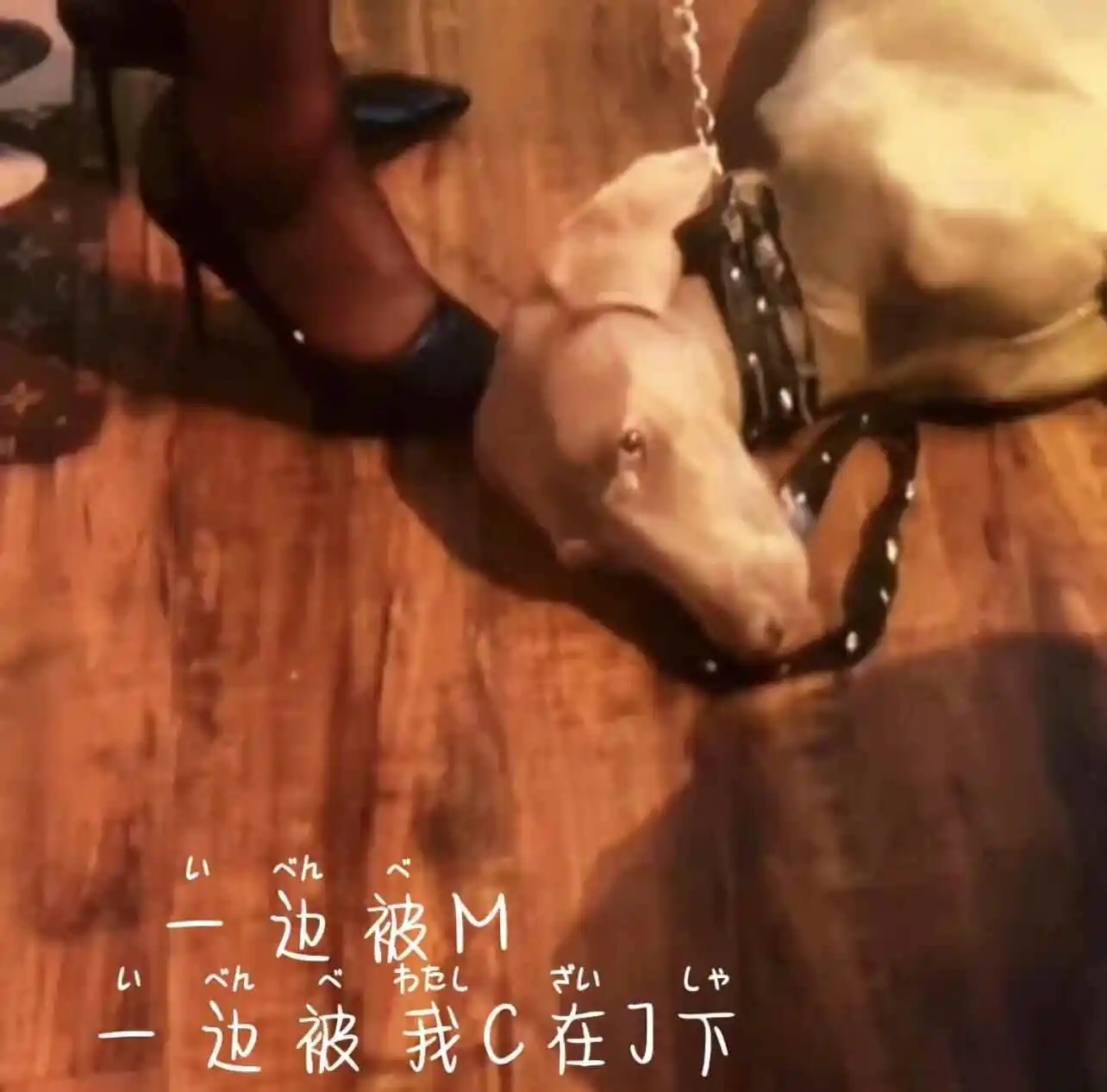 西檬之家女王的魅力:她在字母圈中的角色和影响力是什么? 一