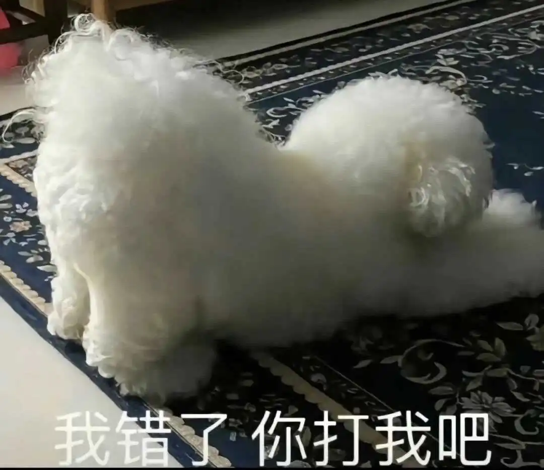 西檬之家字母圈的大圈是怎样形成的?你了解吗? 一