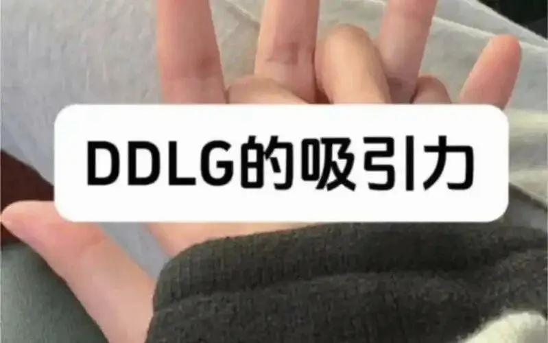西檬之家sp小圈是什么?字母圈新人必知的核心概念解析 一