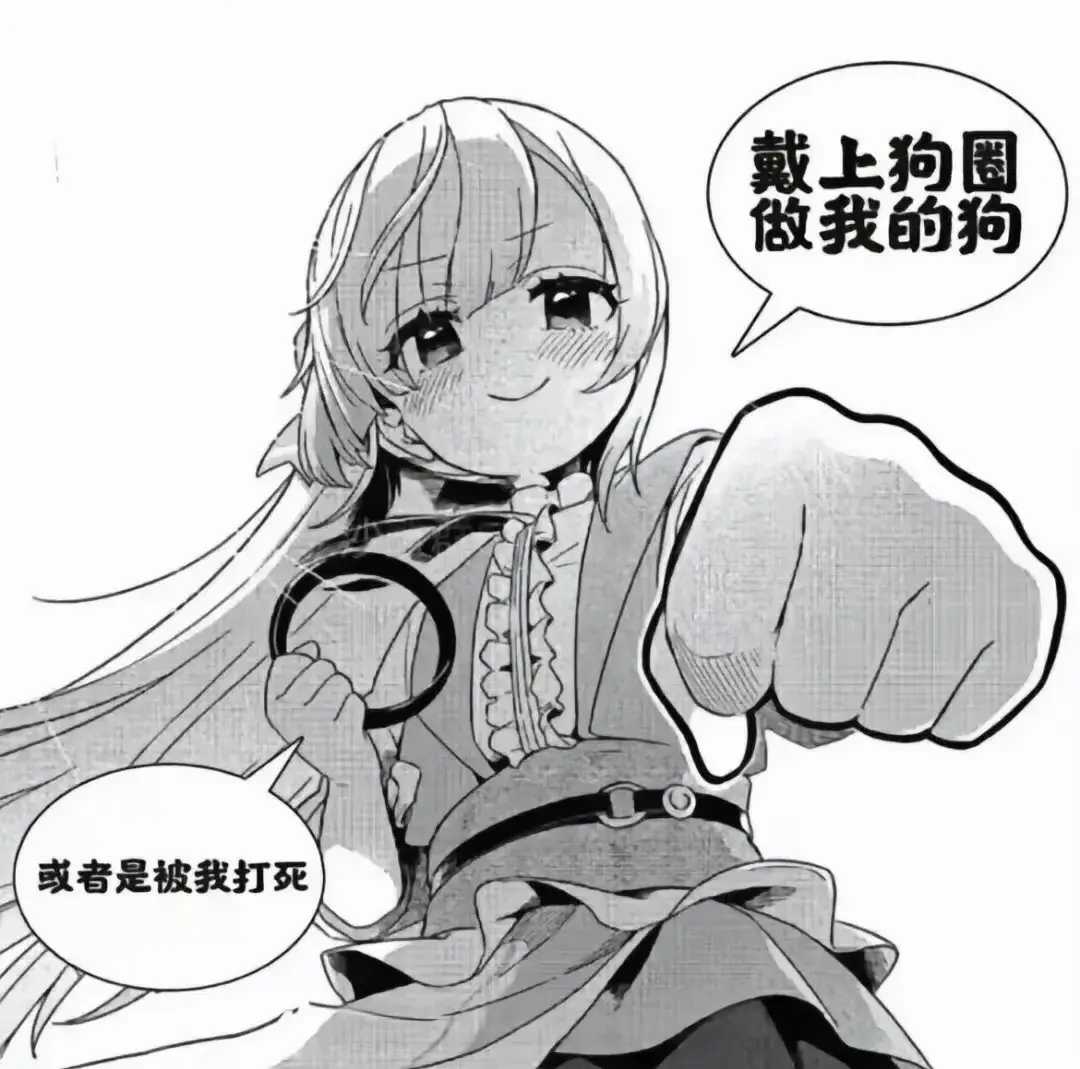 西檬之家字母圈中的sub是什么?了解你的角色与责任 一