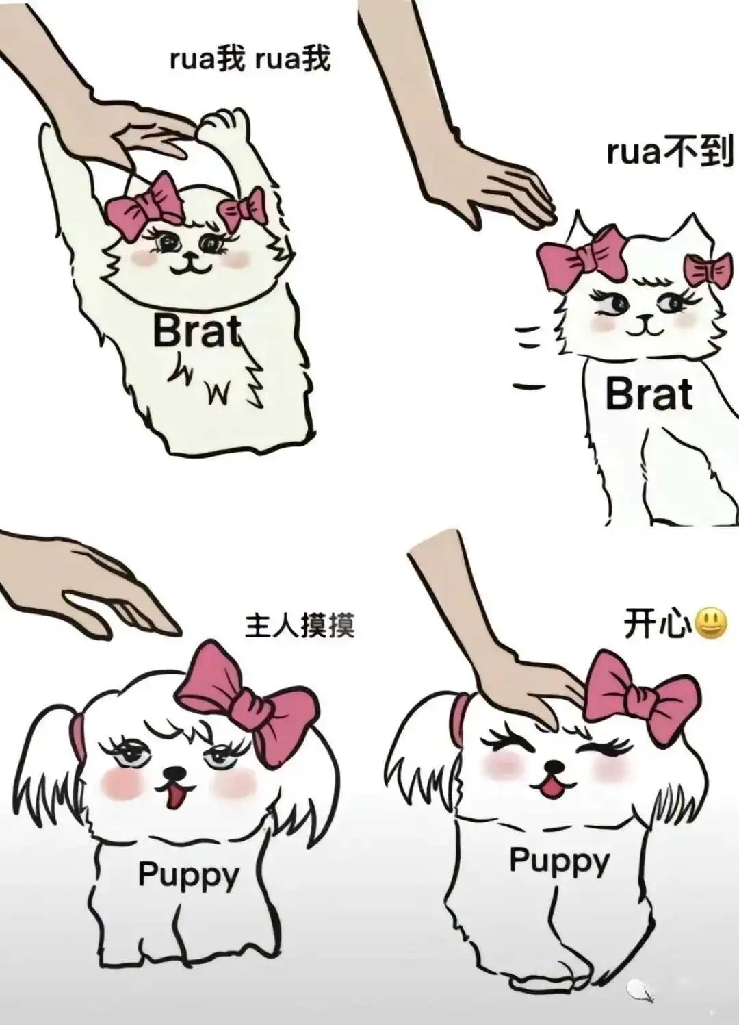 西檬之家K8是什么?入门必读指南,让你轻松掌握字母圈新趋势 一