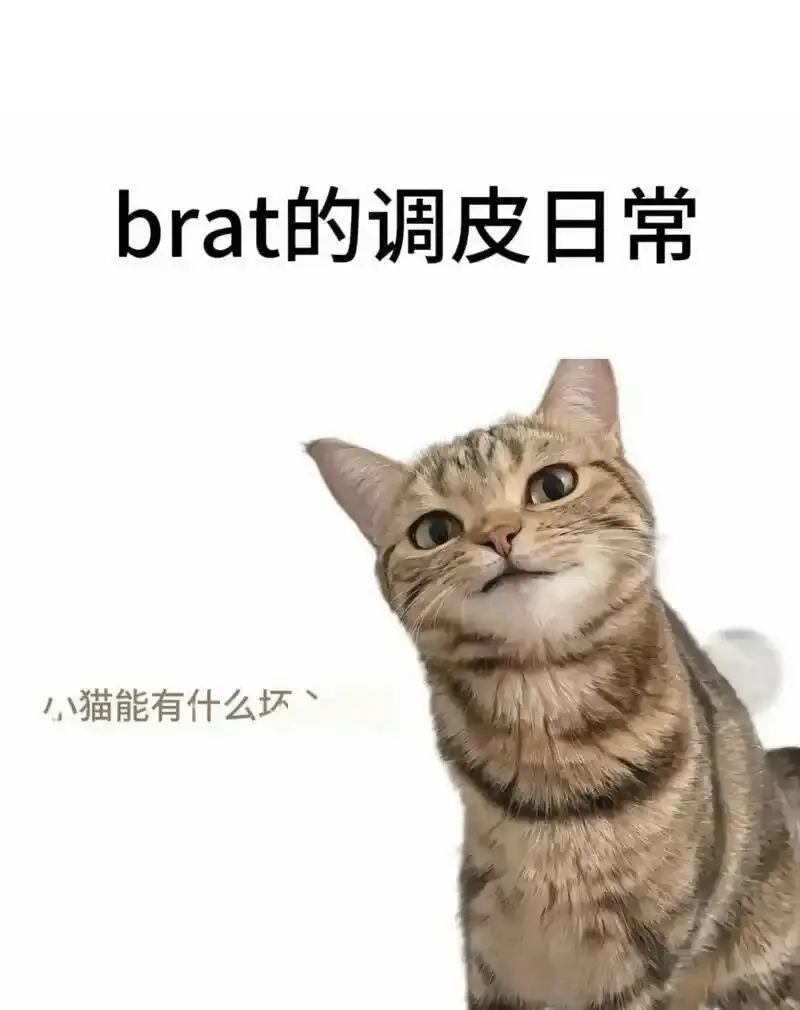 西檬之家BDSM是什么?解锁你的字母圈新体验 一